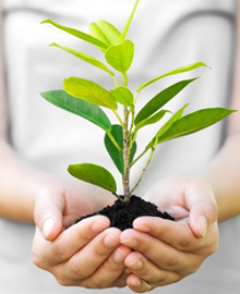 Kurumsal Değerlerimiz